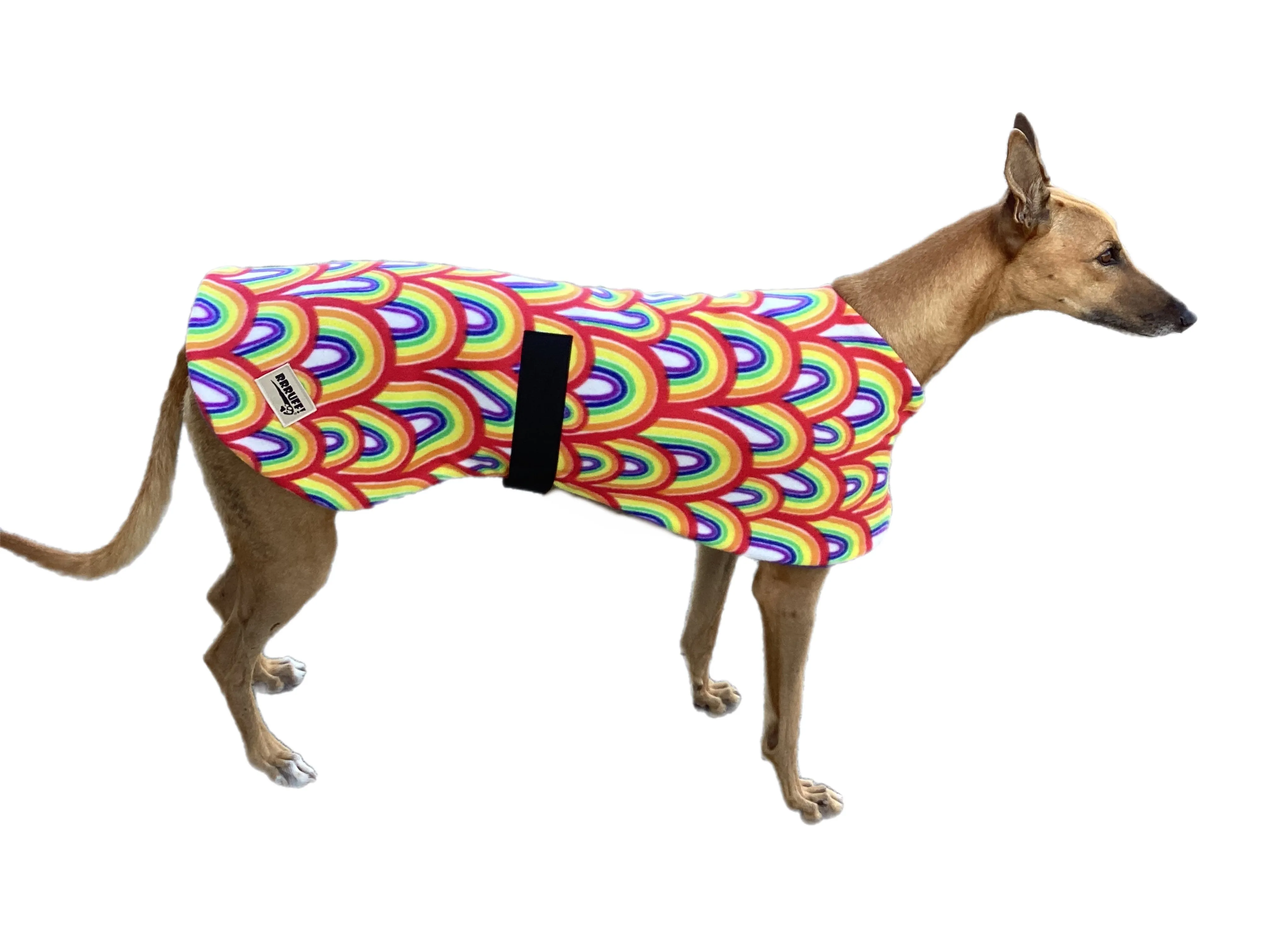 Autumn range classic style Greyhound ‘rainbow’ in fleece washable