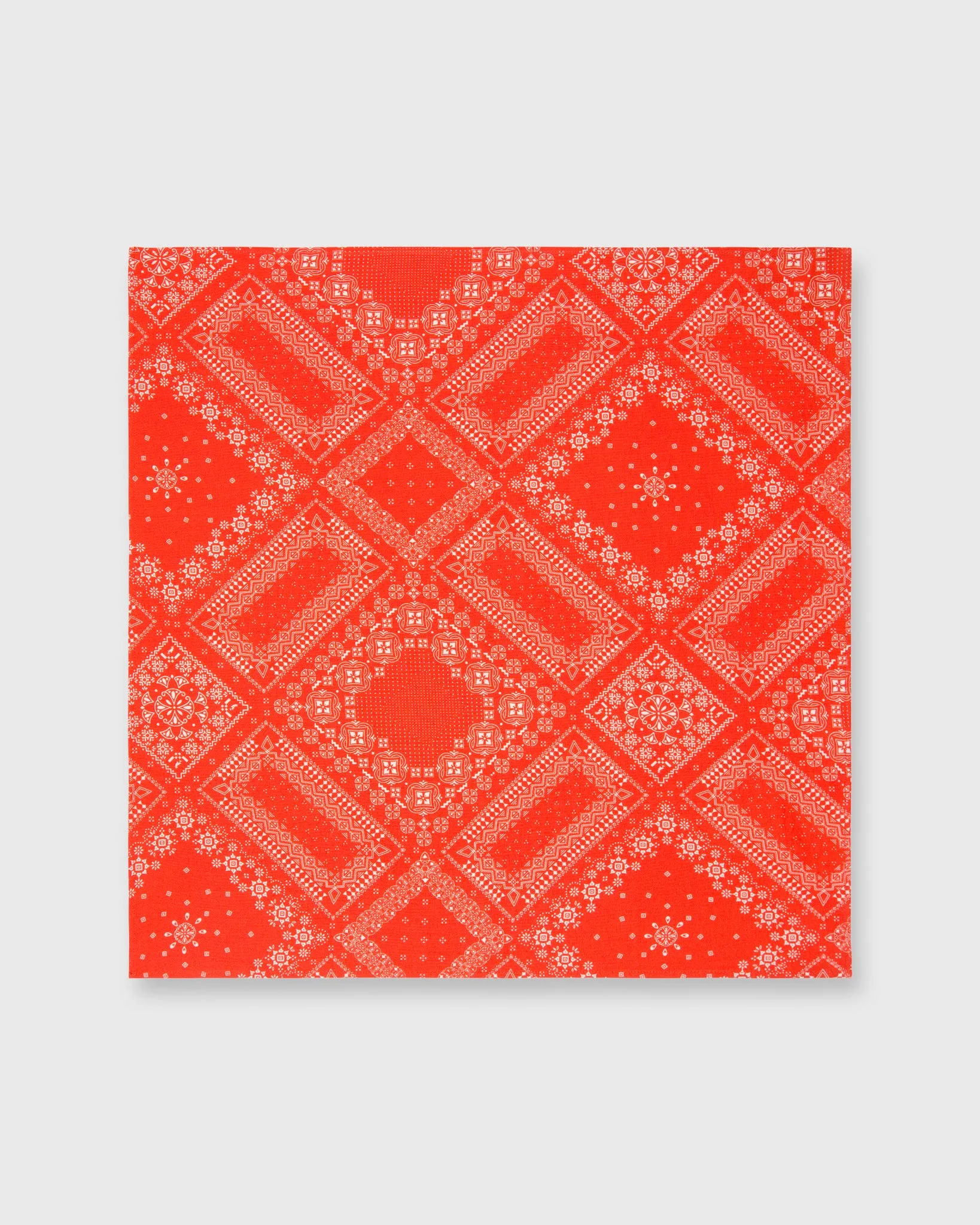 Bandana in Tomato Bandana Print