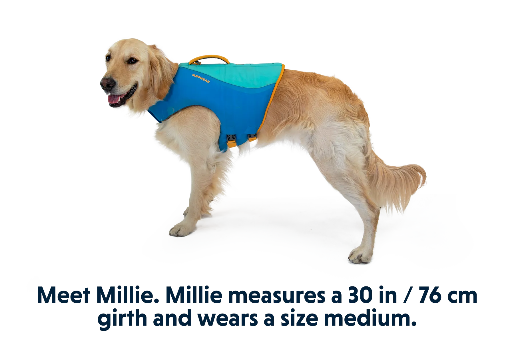 Float Coat™ Dog Life Jacket