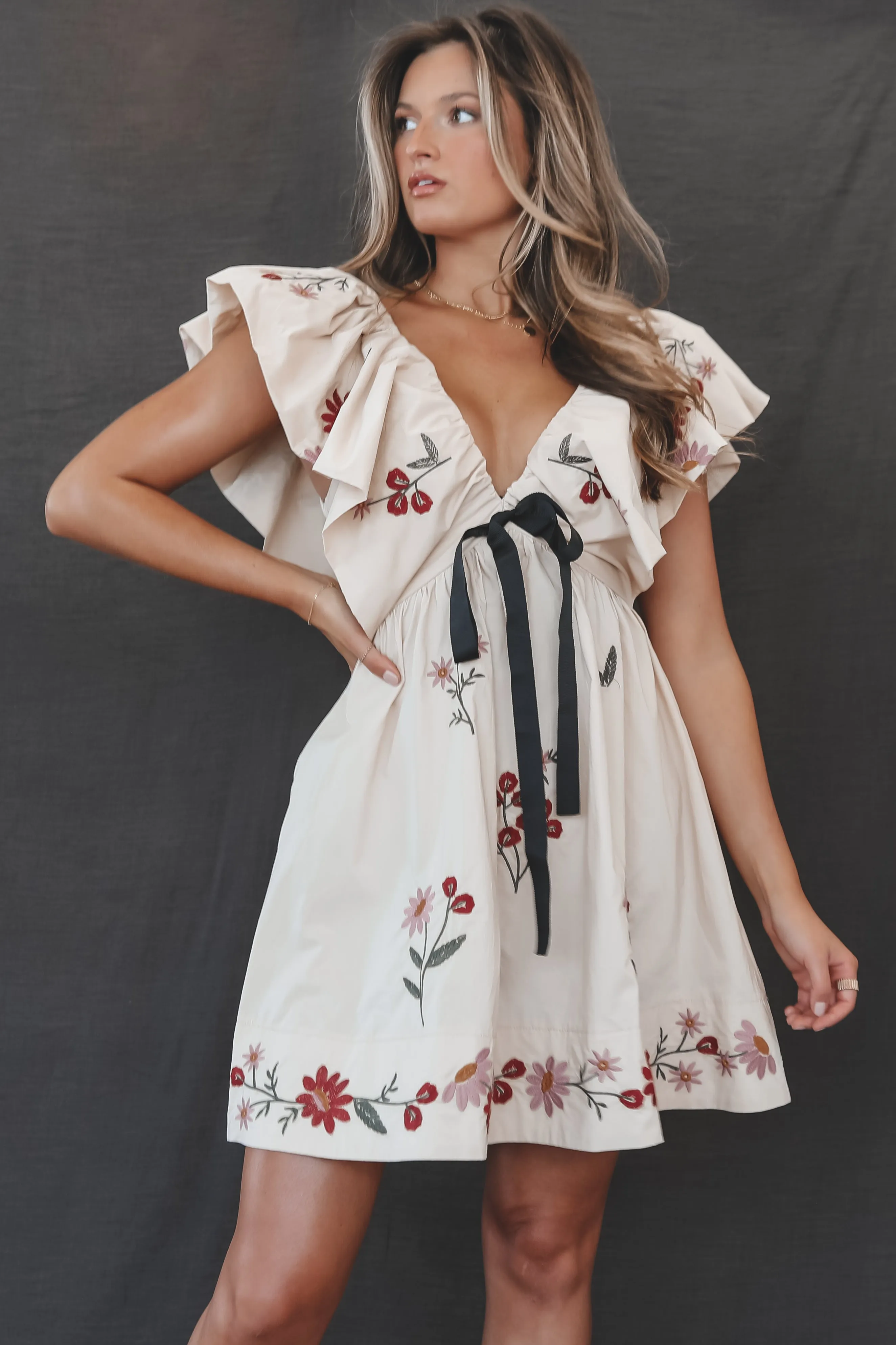 It’s A Girl Thing Floral Embroidered Babydoll Dress